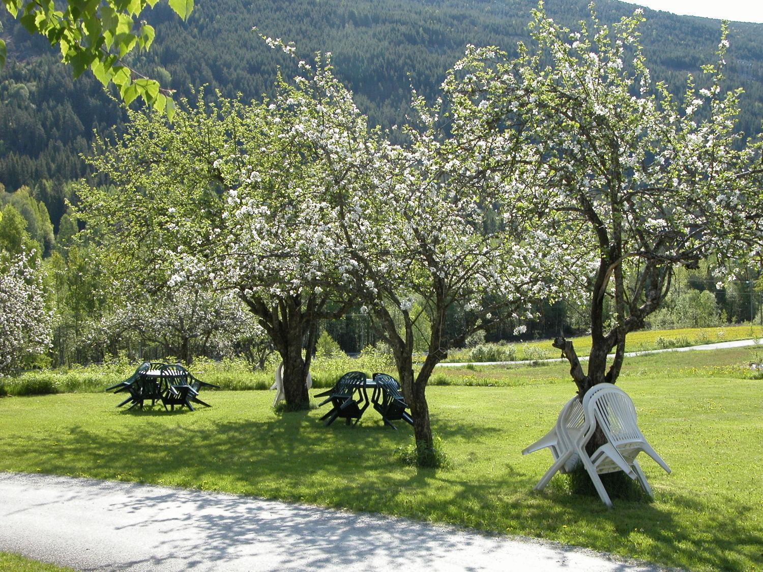 Smedsgarden Hotel Nesbyen Εξωτερικό φωτογραφία