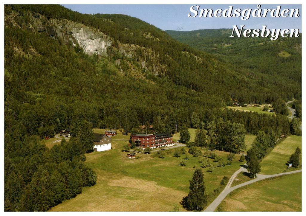 Smedsgarden Hotel Nesbyen Εξωτερικό φωτογραφία